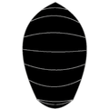 C420 Spinnaker - Black