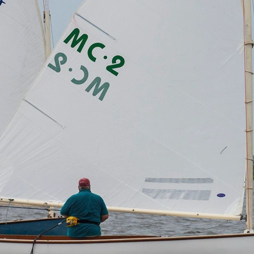 Mainsheet - Marshall Sandpiper