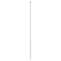 ISCA Mast