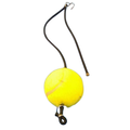 C420 / FJ Transom Ball